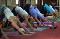 Certification Yoga