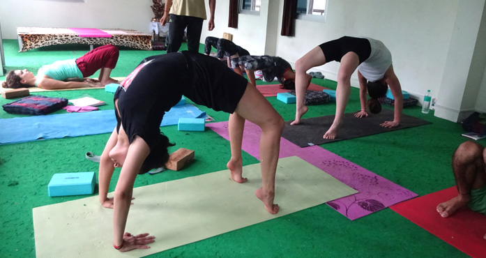 Yoga Teacher Training in india Yoga Teacher Training in india