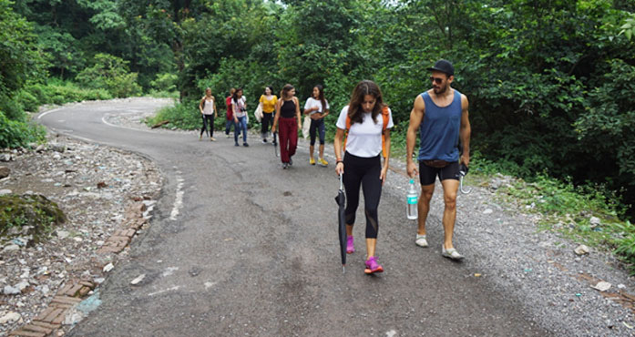Yoga Teacher Training in india Yoga Teacher Training in india