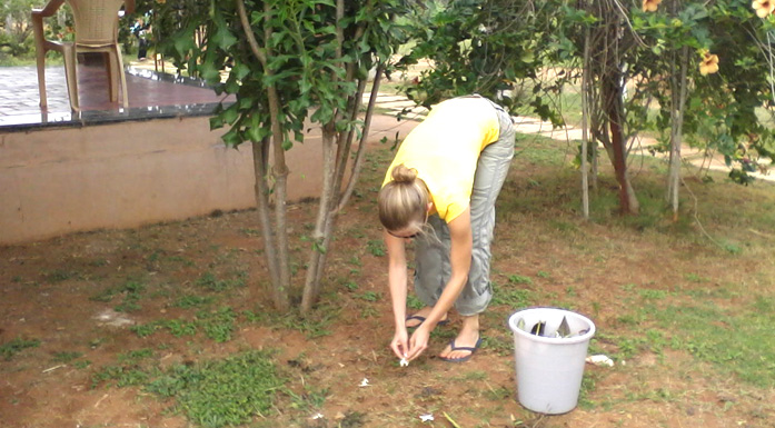 Karma Yoga Yoga Teacher Training in India