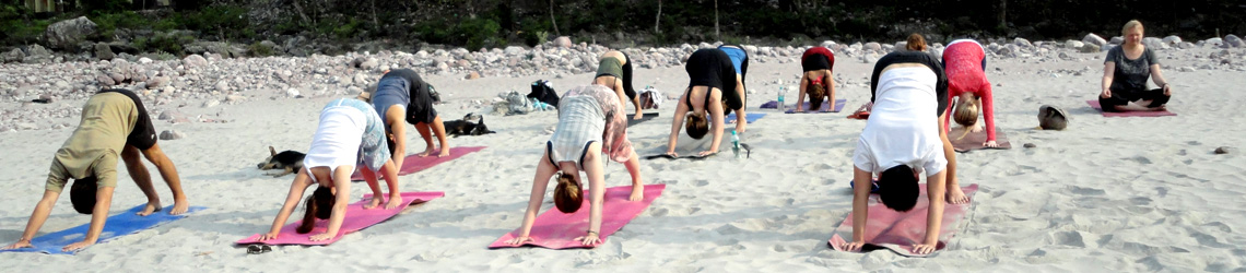 Yoga Teacher Training in India